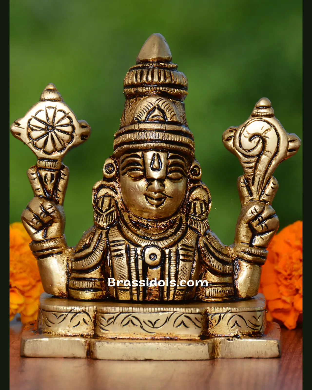 Balaji Head - image 1