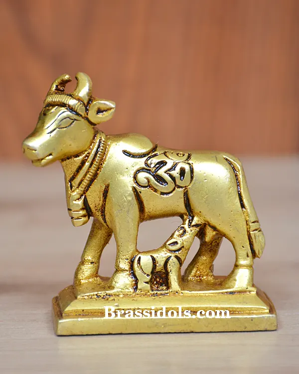 Cow calf Om right face - image 1